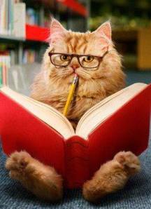 Imagen de Libro y gato