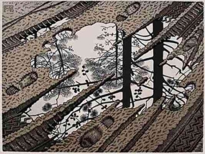 Escher_08_lodazal